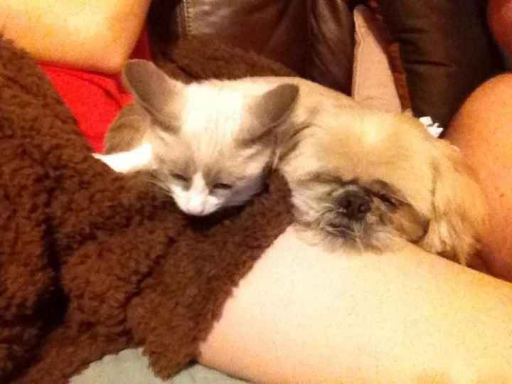 NWR:  It's Feline Friday...