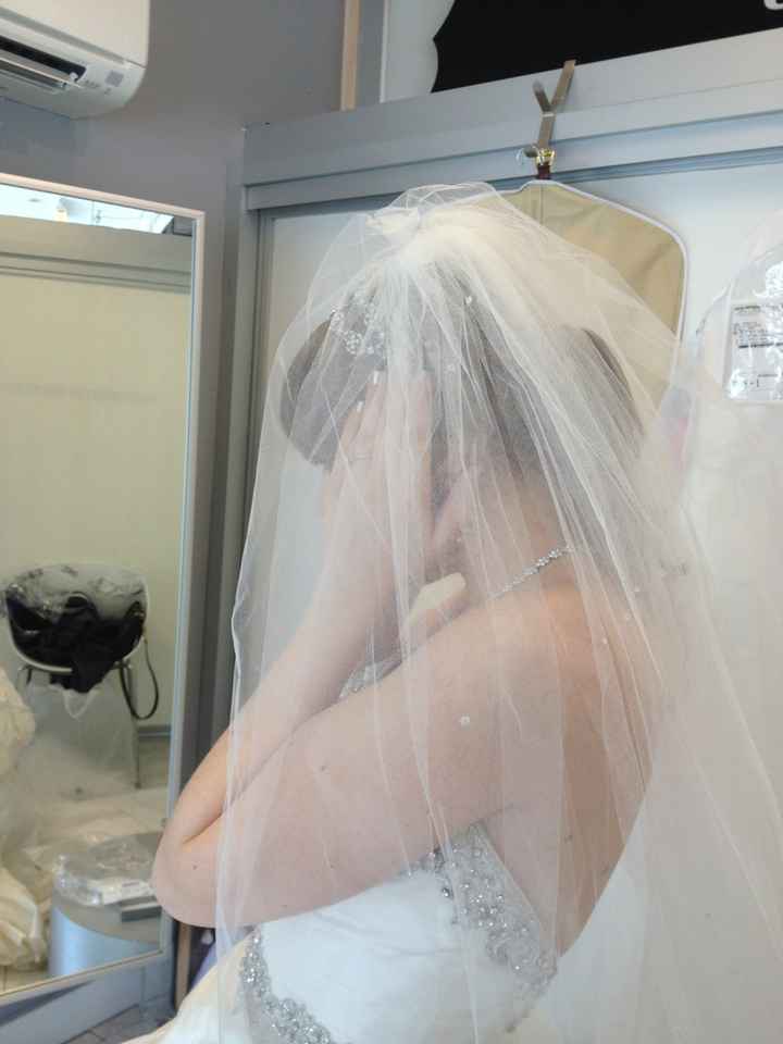 What's your veil/hair/hair accessory situation?