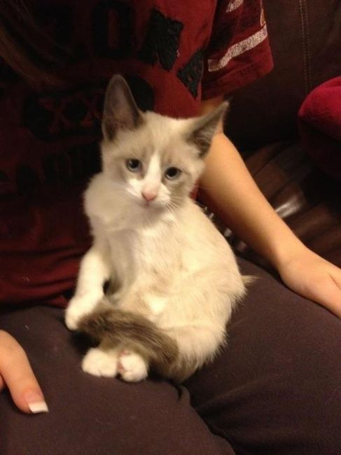 NWR:  It's Feline Friday...