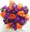 What goes with color purple?