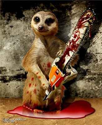 Shakespeare where art thou ?