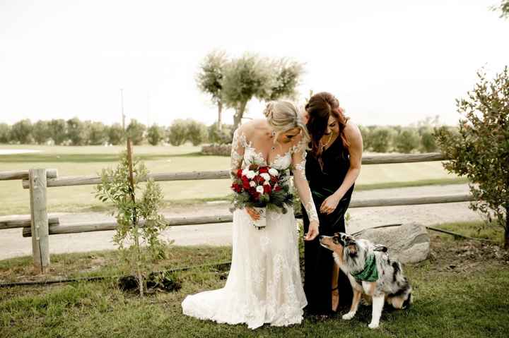 Furbabies in ceremony... do or don’t? - 1