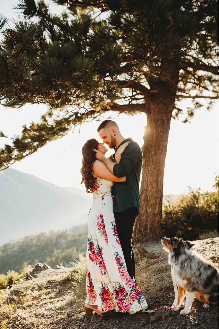 Engagement Photos with Pets - 1