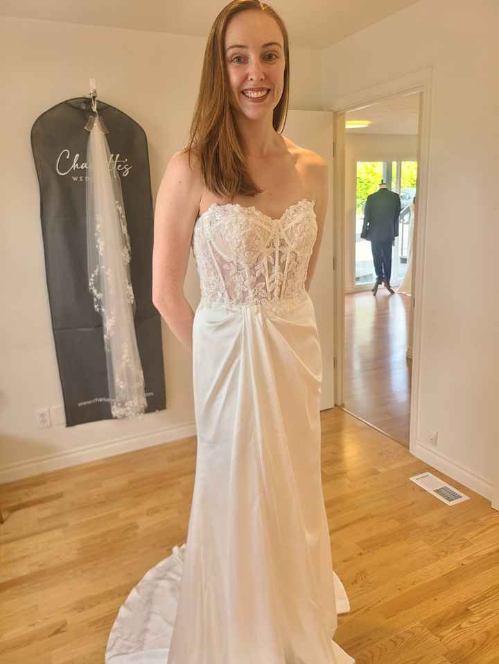 Wedding Dress Second Thoughts - 1