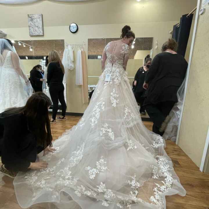 Wedding dress train - 1