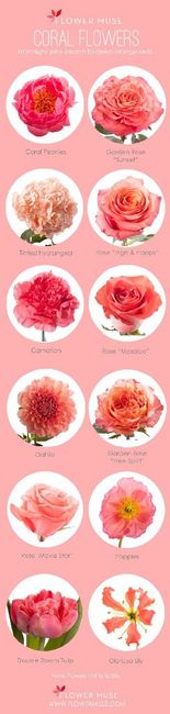 2019 Pantone Color of the Year: Living Coral! - 3