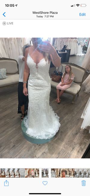 Having Doubts About My Dress 2