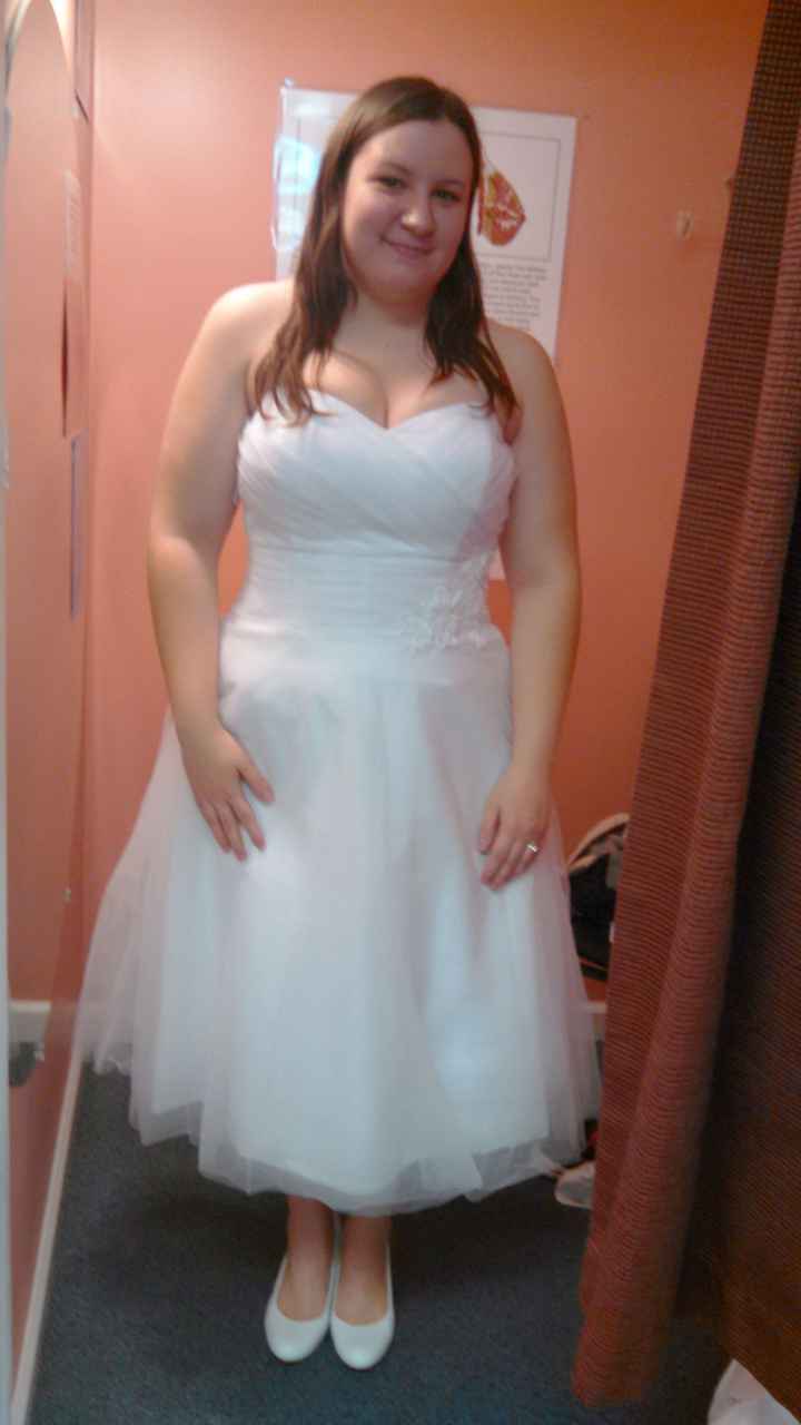 My Dress (with pics)