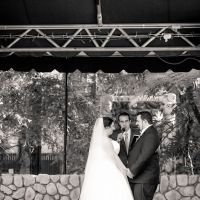 BAM.....(Belated)! Pro Pics!