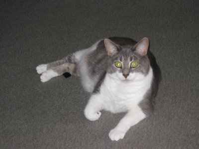 Lets see those pets!!! (NWR)