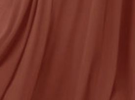 Cabernet and burnt orange, or neptune and burnt orange? 2