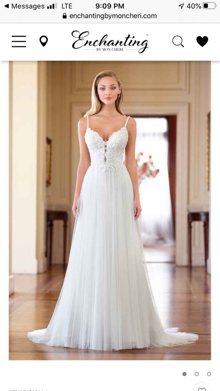 Veil, headpiece, or both? - 1