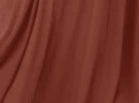 Cabernet and burnt orange, or neptune and burnt orange? - 2