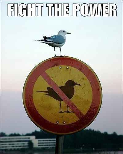 WWCATHY and WWLYNNIE