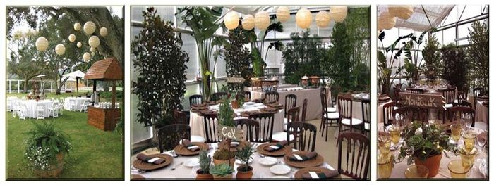 Outdoor Theme Decor Ideas