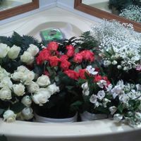 Has anyone ordered flowers from globalrose?