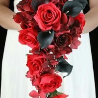 The Calla Lily Speaks to Me...