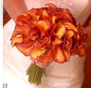 HELP! I'M STARTING TO FREAK OUT!