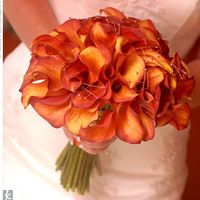 HELP! I'M STARTING TO FREAK OUT!