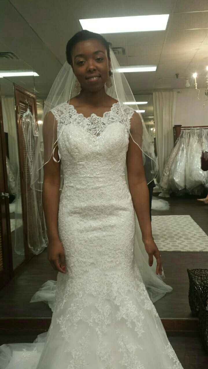 Sicilone or Cotton Push Up Cups