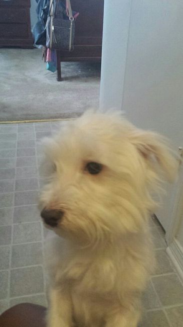 NWR: Bored? Show off your pets!