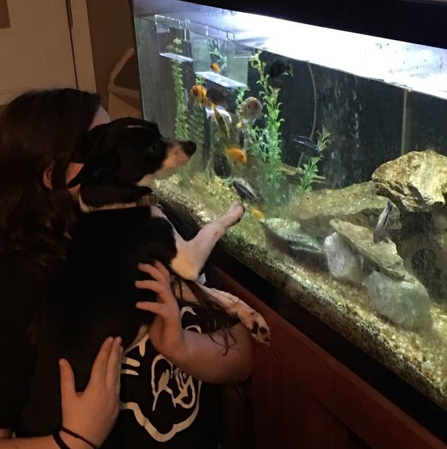 NWR: Puppies and fur babies!