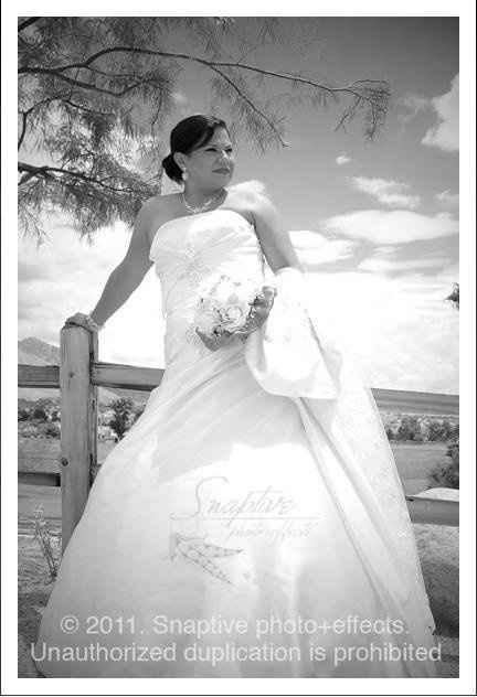 Wedding pictures (I know we all say *PIC HEAVY* but this really IS pic heavy!)