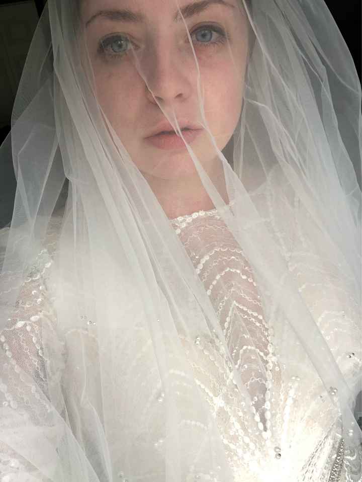 To Veil or not to Veil - 2