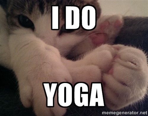 NWR: Furry Friday? Yeah, just made that up as an excuse to post my kitty...