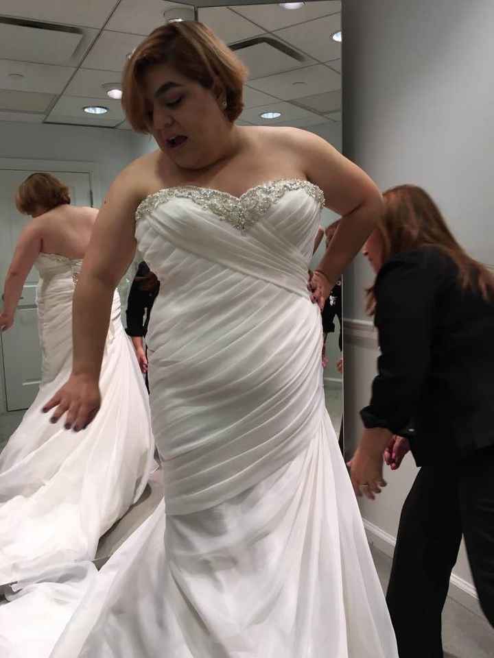 Sample dress sizes- Vent