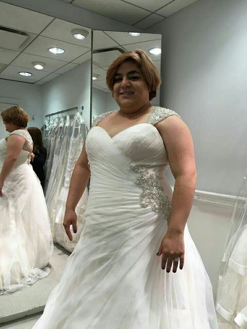 Plus Size Dresses
