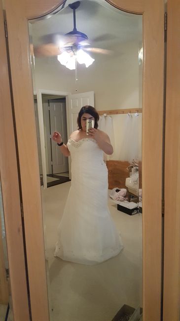 Sample dress sizes- Vent