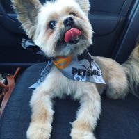 Show me your fur babies!