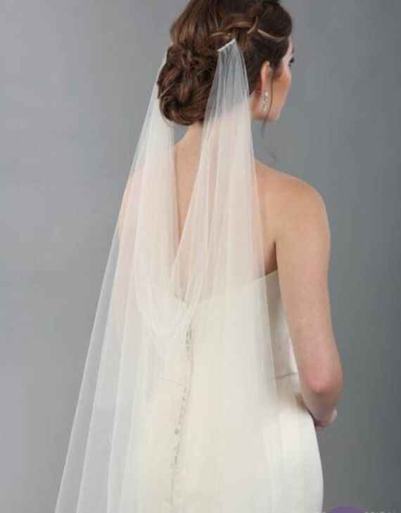 Draped Veil? - 1