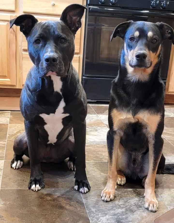 The Smallest Detail I’m Most Excited About - 1