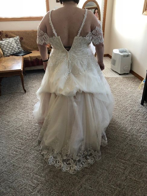 Dress Wont Zip 1