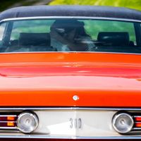 Show me your engagement photos! - 2