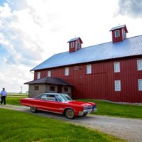 Show me your engagement photos! - 1