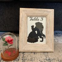 Socal Selling Wedding Decor (disney theme) - 2