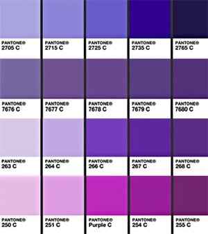 wedding colors?