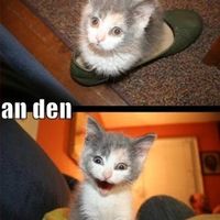 Should I stop cheating on my husband?