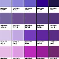 wedding colors?
