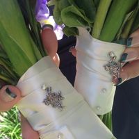 Welcome to Wonderland- non pro pix