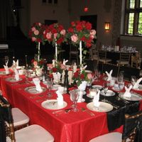 Welcome to Wonderland- non pro pix