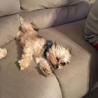 NWR: Show me your pups!