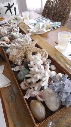 options using coral and shells