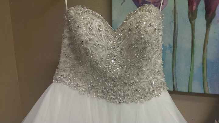 Let's have some fun! Show me your....