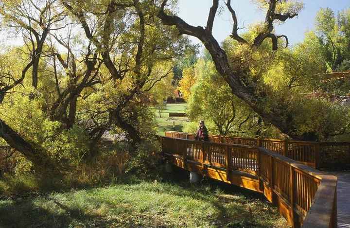 Save the date photos - 1