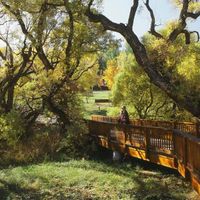 Save the date photos - 1