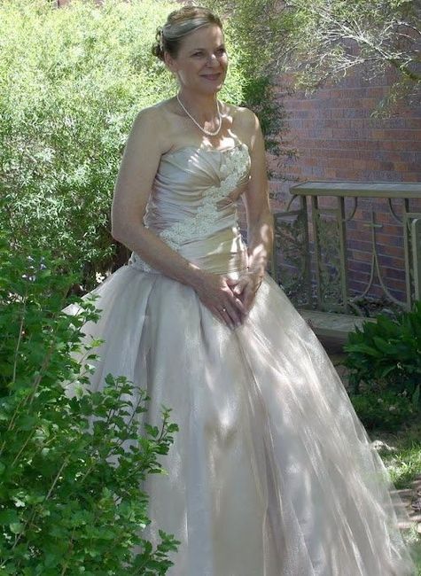 SMY favorite wedding dress pic.